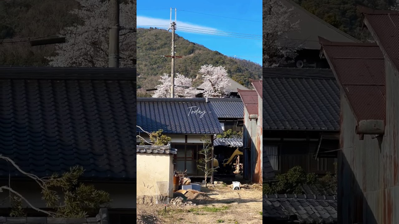 บ้านผมอยู่บ้านนอกญี่ปุ่น #ชนบทญี่ปุ่น