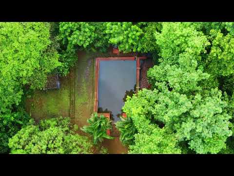 Goa is not just about beaches… there’s a green side too.