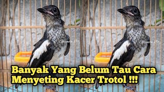 Download lagu HOW TO SET UP A TROTOLAN KACER TO PRODUCE A FUTURE CHAMPION KACER!!! mp3 Download lagu HOW TO SET UP A TROTOLAN KACER TO PRODUCE A FUTURE CHAMPION KACER!!! mp3