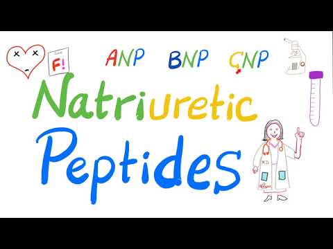 Natriuretic Peptides | ANP, BNP & CNP | Atrial Natriuretic Peptide, Brain Natriuretic Peptide | Lab