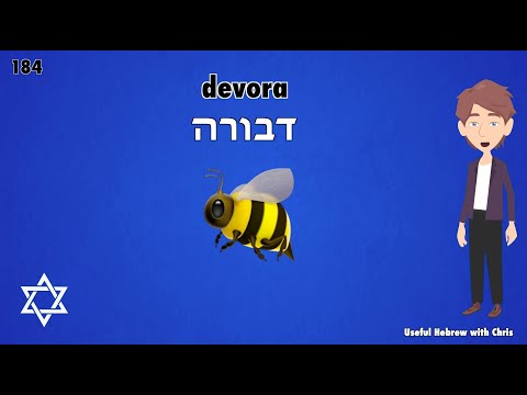 Learn your first 400 words in Hebrew - video for beginners