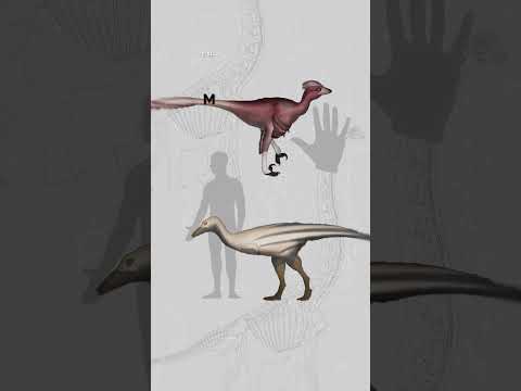 The Shortest Dinosaur Names