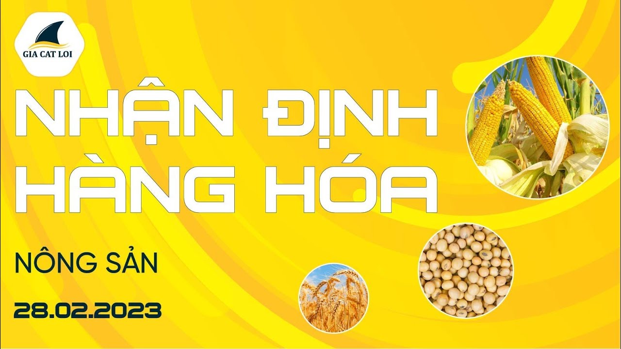 Nhận Định Hàng Hoá Nông Sản Ngày 28/02/2023