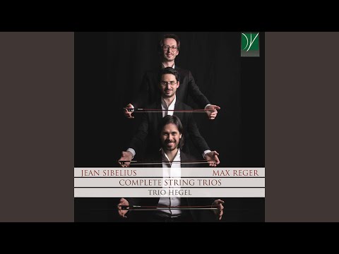 Suite for String Trio in A Major: II. Andante con moto
