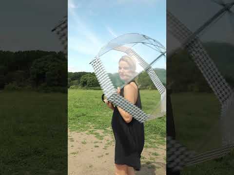 Видеообзор Женский прозрачный зонт-трость Fulton Birdcage-2 L042 Houndstooth Border (Гусиная лапка)
