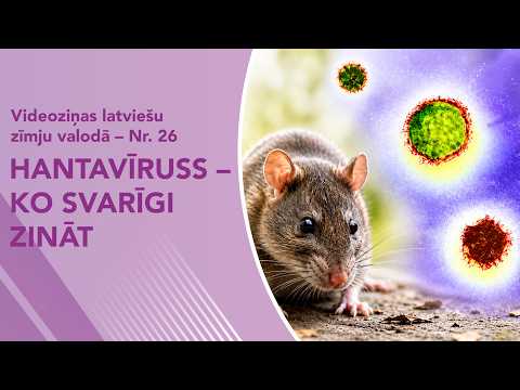 Videoziņas Nr. 26 “Hantavīruss – ko svarīgi zināt”
