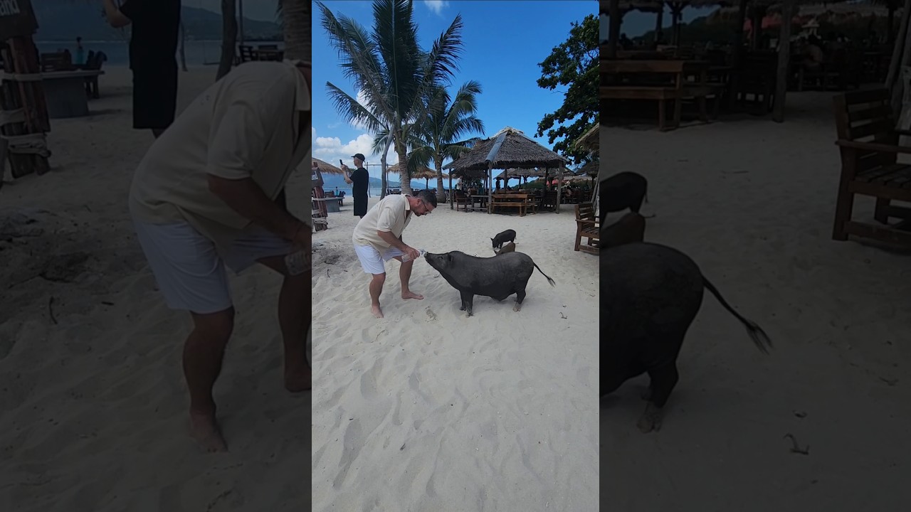 YouTube Short thumbnail