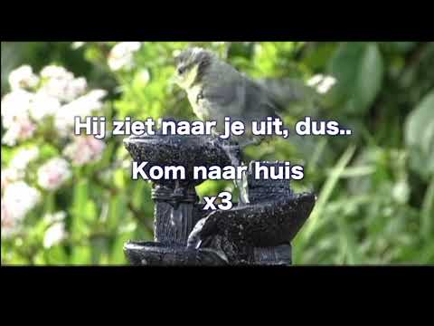 Opwekking 820 Feest van genade