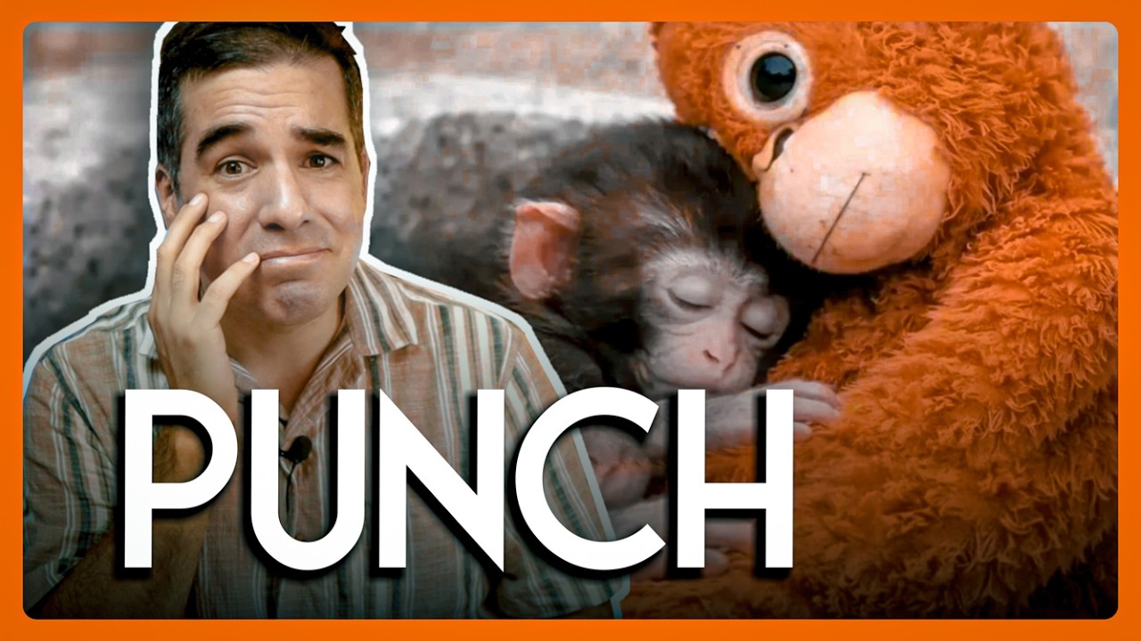 Todos somos PUNCH y no te has dado cuenta