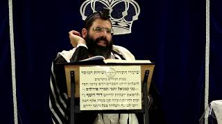 דף היומי עבודה זרה דף ל"ד ע"ב ¤ הרב נתנאל אברז'ל ¤ בית הכנסת "בית מרדכי" (מוסדות תורת דוד) - התמונה מוצגת ישירות מתוך אתר האינטרנט יוטיוב. זכויות היוצרים בתמונה שייכות ליוצרה. קישור קרדיט למקור התוכן נמצא בתוך דף הסרטון