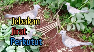 Download lagu Jebakan/Jirat/Perangkap burung perkutut mp3