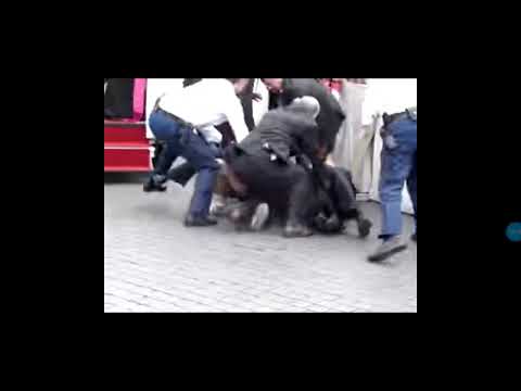 Benedicto XVI atacado en San Pedro por mujer endemoniada? 2007/Hemeroteca del discernimiento