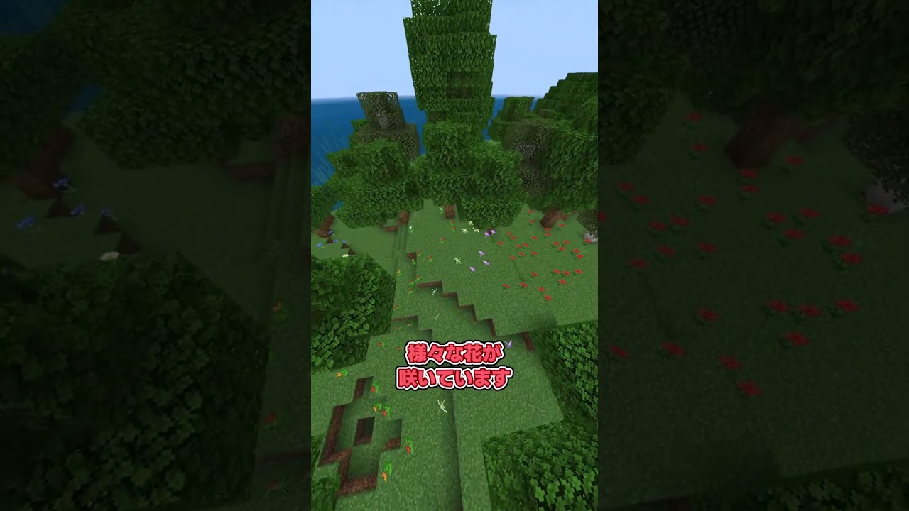 ぜひ一度遊んでほしい孤島の神シード値3選！【マイクラ統合版】 #マイクラ #神シード  #マインクラフト #マインクラフト統合版 #神シード値