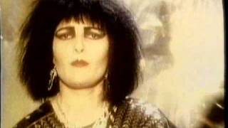 Siouxsie & The Banshees 