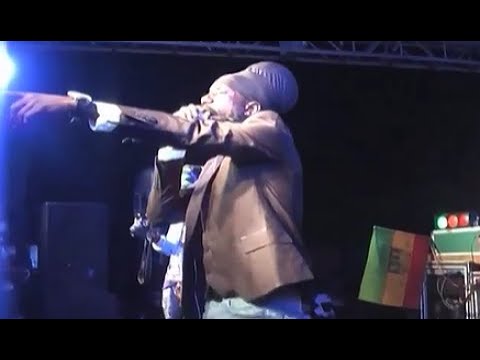 King Stur Gav & Killamanjaro 2012: Sizzla, Professor Nuts, Leroy Smart, General Trees, Little Twitch