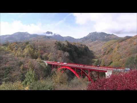八ヶ岳の紅葉（フルHD映像）