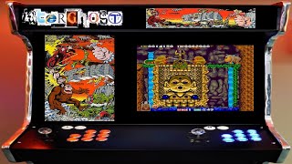 Arcade Gaming - TOKI - (Retro Records)