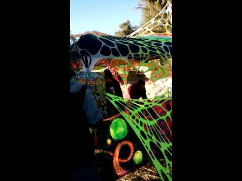 Datalordz / DMTryptamine Part 7