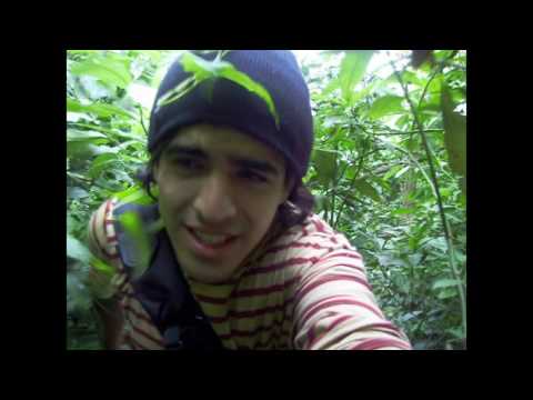 Aventura por la Selva tucumana