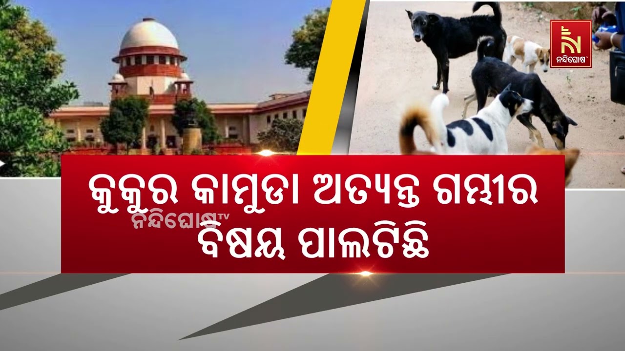 କୁକୁରପ୍ରେମୀଙ୍କୁ ଲାଗିଲା ଶକ୍ତ ଝଟକା ; ସାର୍ବଜନୀନ ସ୍ଥାନର?