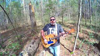 Lone Star Song by Grant Lee Buffalo (Cover)- Brent McCoy