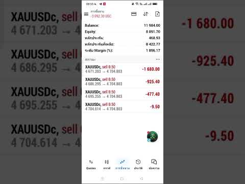 Video Green Tiger V4