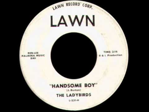 The Ladybirds - Handsome Boy