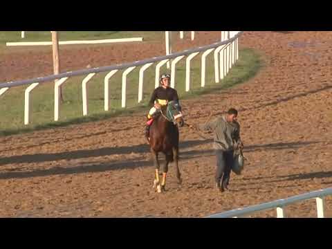 MELO SINT 230608 c06 - 1 MIA ROMA