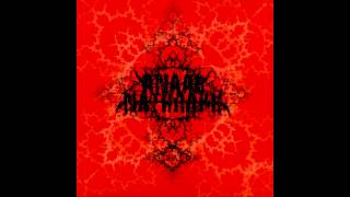 Anaal Nathrakh - Between Shit And Piss We Are Born