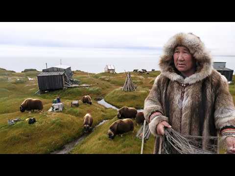 The Ulengovs and 2 more