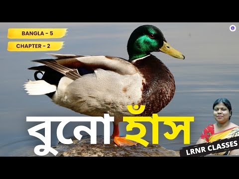 Chapter 2 Bunohans | Lila Majumdar | বুনোহাঁস | লীলা মজুমদার