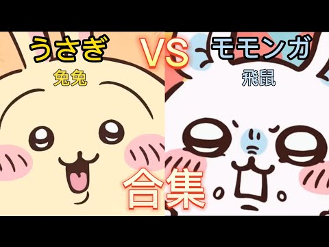 合集 | モモンガ vs うさぎ | 飛鼠 vs 兔兔 | momonga vs usagi