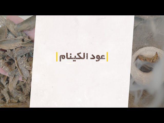عود كينام صيني (1182)