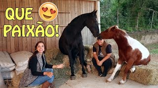 Miniatura do vídeo