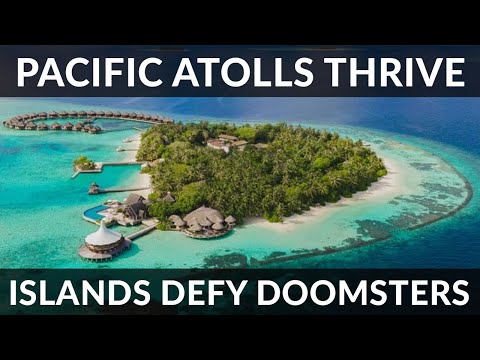 Hidden In Plain Wallet