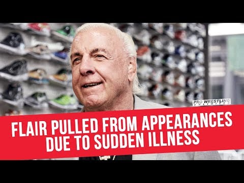 Fight Size Update: Update On The Health Of Ric Flair, RVD’s Divorce Settlement, ‘Ava Storie’ Makes Her NXT Debut, More