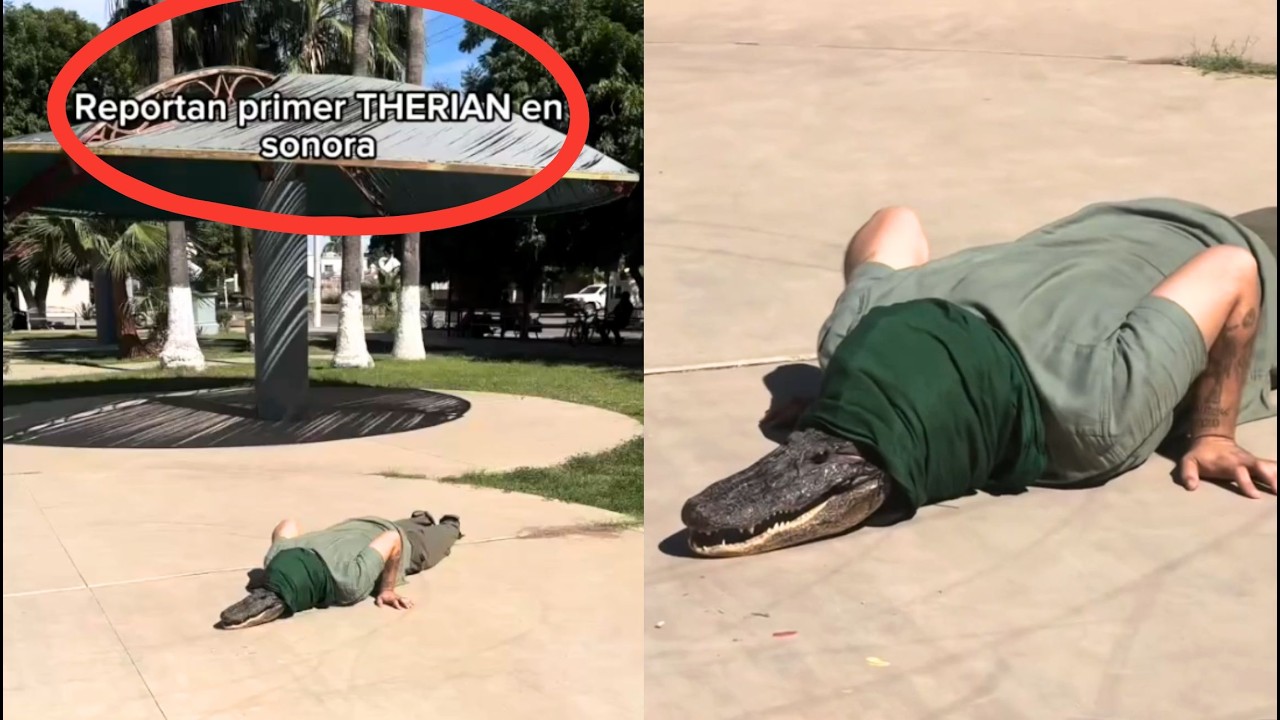 APARECE EL PRIMER THERIAN en MÉXICO