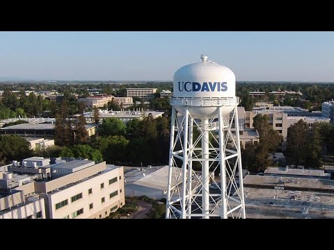 UC Davis investigating holocaust denialism, hate speech aimed at Jewish community