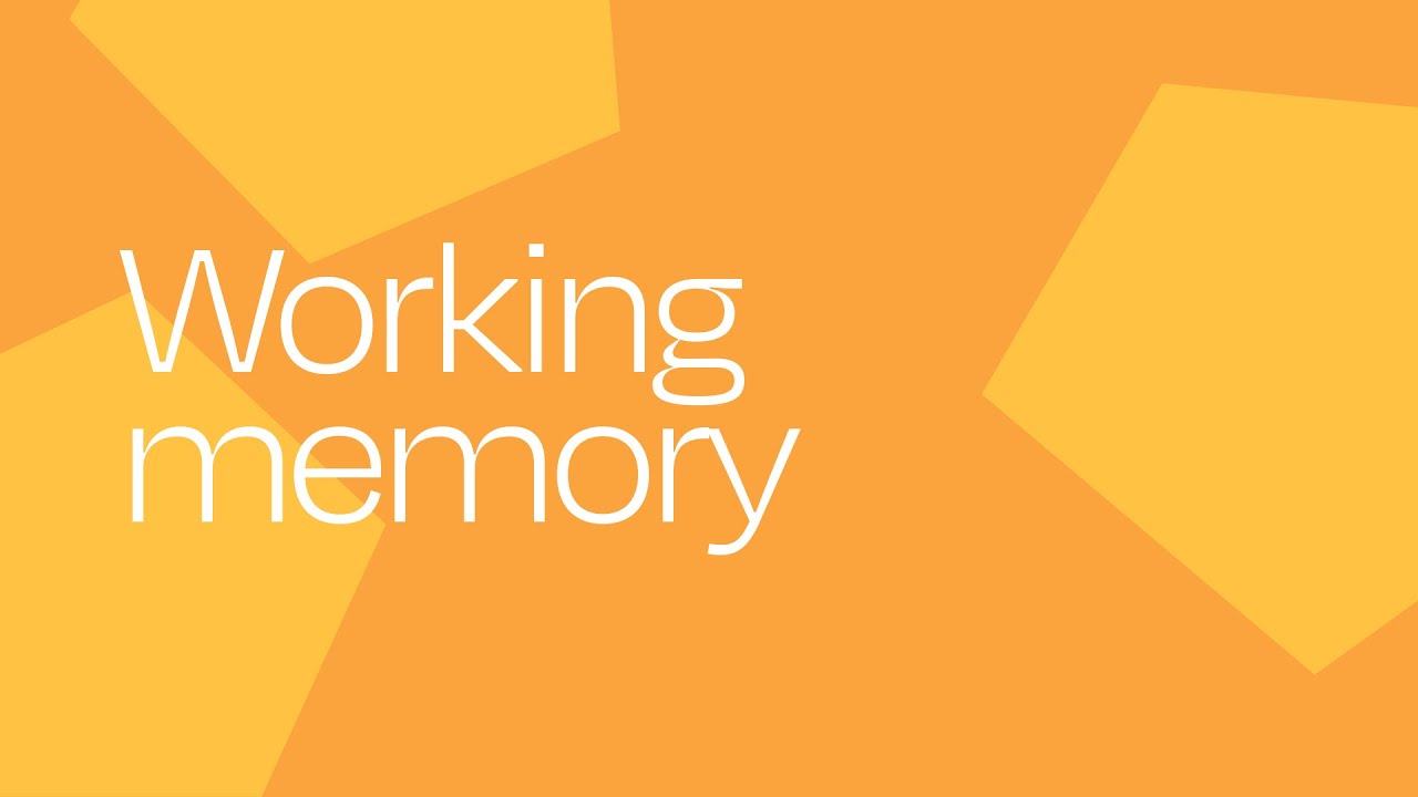 Working Memory