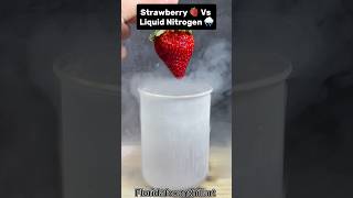 Strawberry 🍓 Vs Liquid Nitrogen 🌧️#Satisfying #Experiment #Science #ASMR #LiquidNitrogen