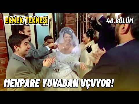Mehpare is Flying Out of the Nest! - Ekmek Teknesi - Episode 46