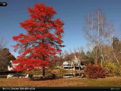 Homes for Sale - 9 Hobart Way, Easton, MA