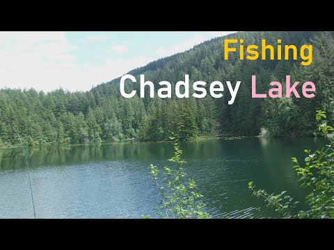 Fishing Chadsey Lake
