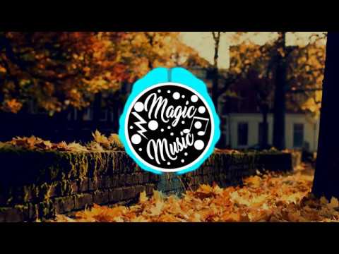 Alan Walker & Luis Fonsi - Despacito × Faded ft.Justin Biber (Sorcier Mashup)