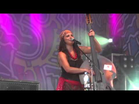 Przystanek Woodstock  MEGITZA