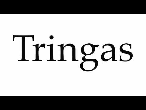 How to Pronounce Tringas