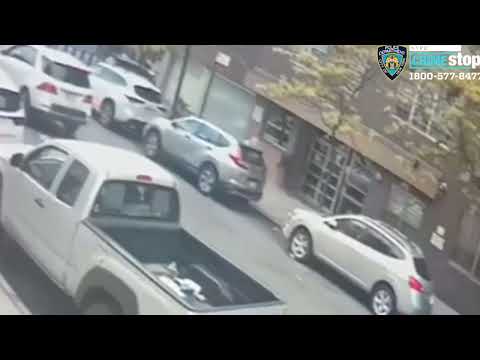 11 Year Old Killed In Bronx