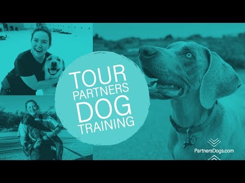 Partners Dog Training, Daycare and Resort video.
