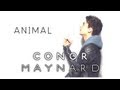 Conor Maynard - Animal 