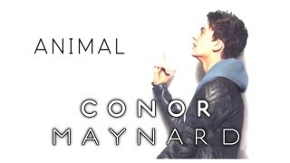 Conor Maynard - Animal